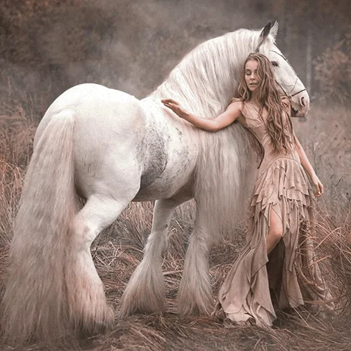 رویای اسب سفید (13782)