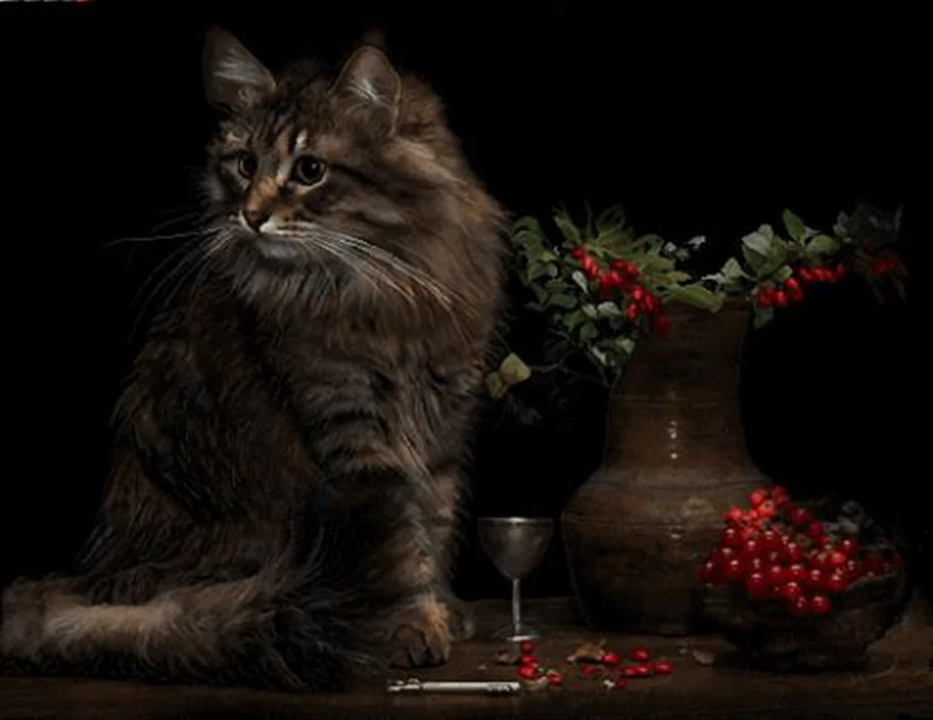 گربه اشرافی (7568)