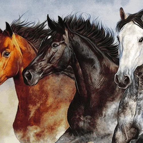 سه اسب سرکش (14812)